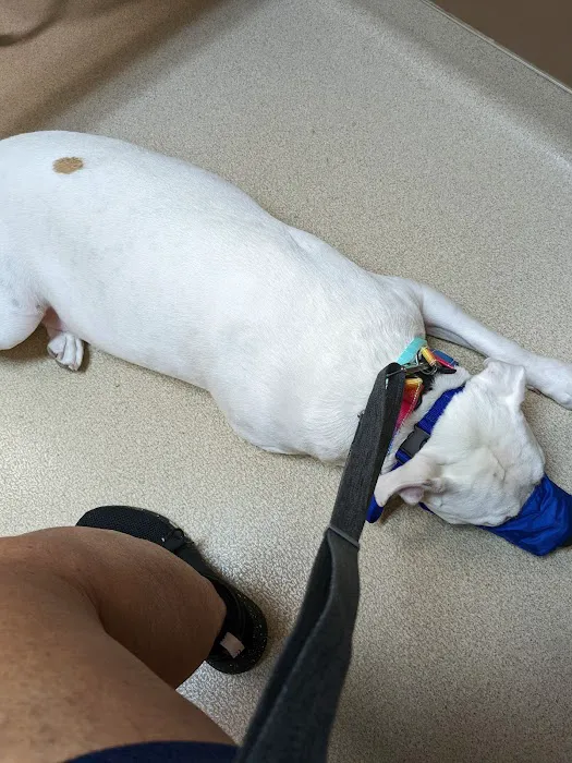 Pekin Animal Hospital 8