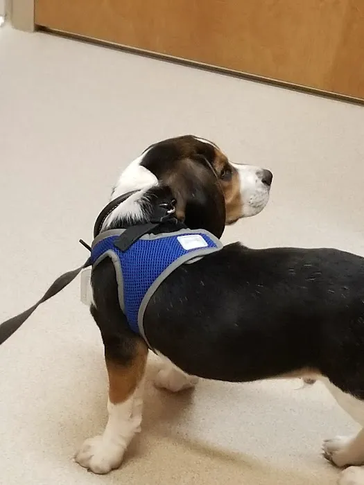 Pekin Animal Hospital 4
