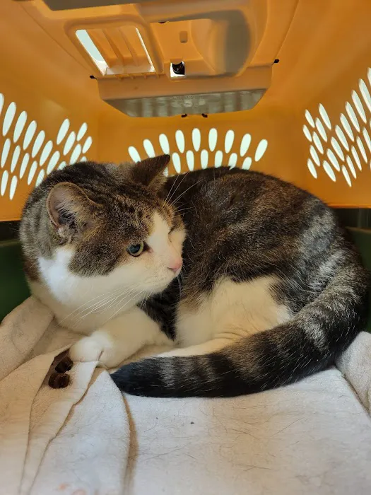 Meadowbrook Veterinary Clinic - South 7