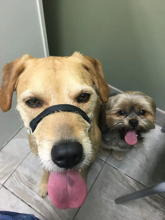 Meadowbrook Veterinary Clinic - South 5