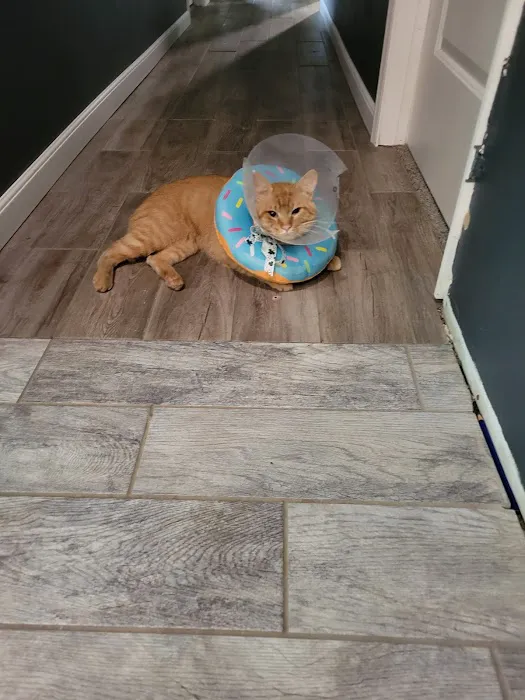 Hometown Veterinary Clinic 5