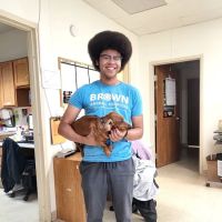 Brown Animal Hospital ico