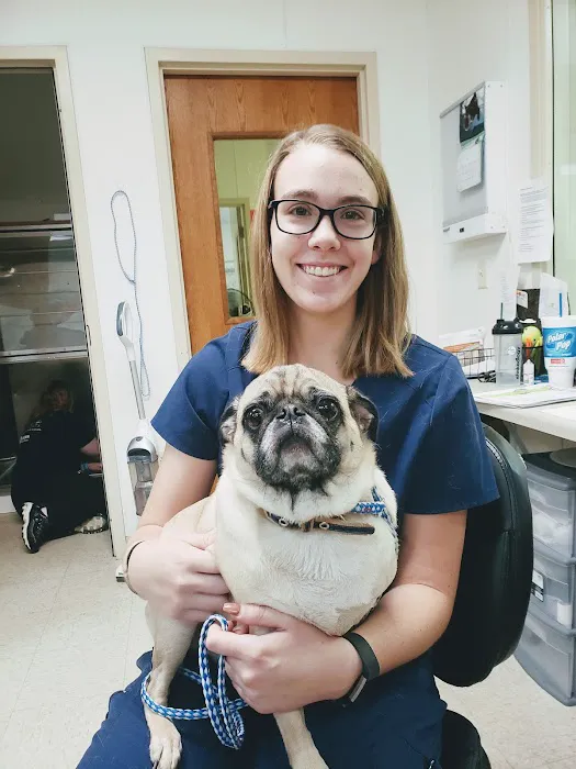 Brown Animal Hospital 8