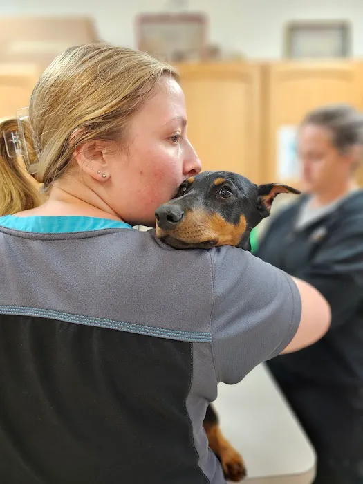 Brown Animal Hospital 9