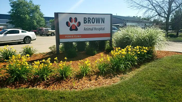 Brown Animal Hospital 5