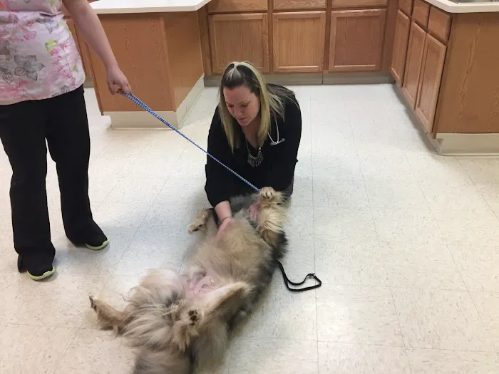 Brown Animal Hospital 4
