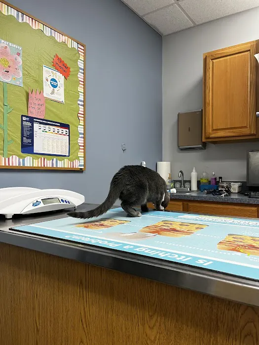 Peoria Area Veterinary Group of Peoria 8
