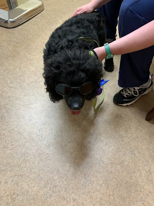 Peoria Area Veterinary Group of Peoria 6