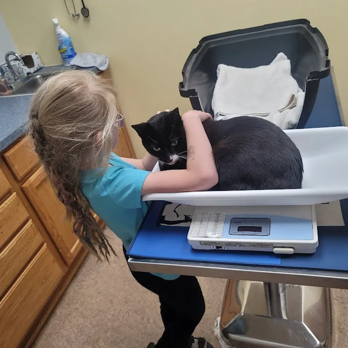 Peoria Area Veterinary Group of Peoria 9