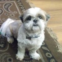Meadowbrook Bark District ico