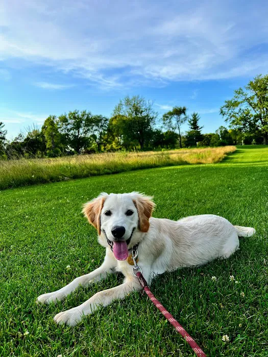 Meadowbrook Veterinary Clinic - North 8