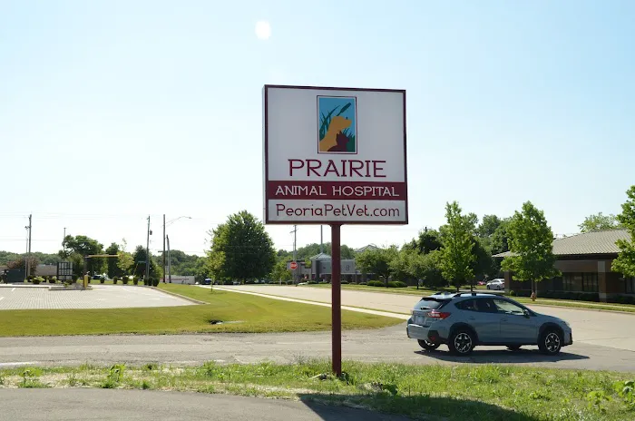 Prairie Animal Hospital 5
