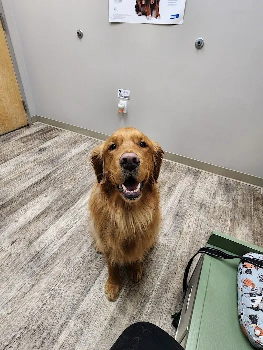 Prairie Animal Hospital 7
