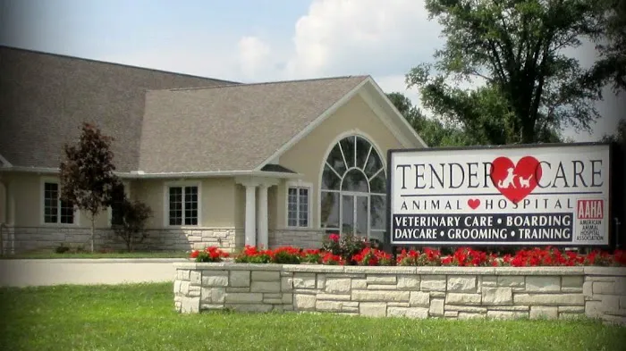 Tender Care Animal Hospital of Peoria 7