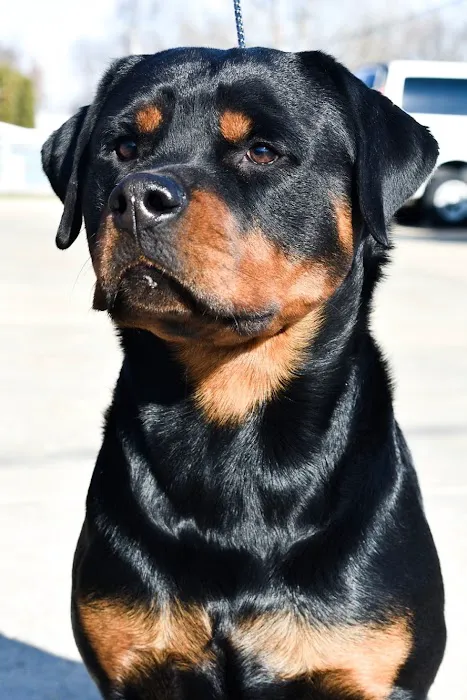 Limestone Companion Animal Hospital 7
