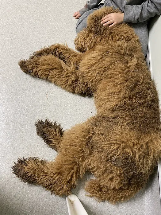 Limestone Companion Animal Hospital 9