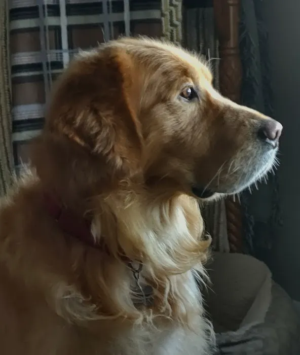 Limestone Companion Animal Hospital 6