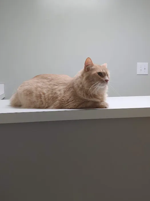 Limestone Companion Animal Hospital 3