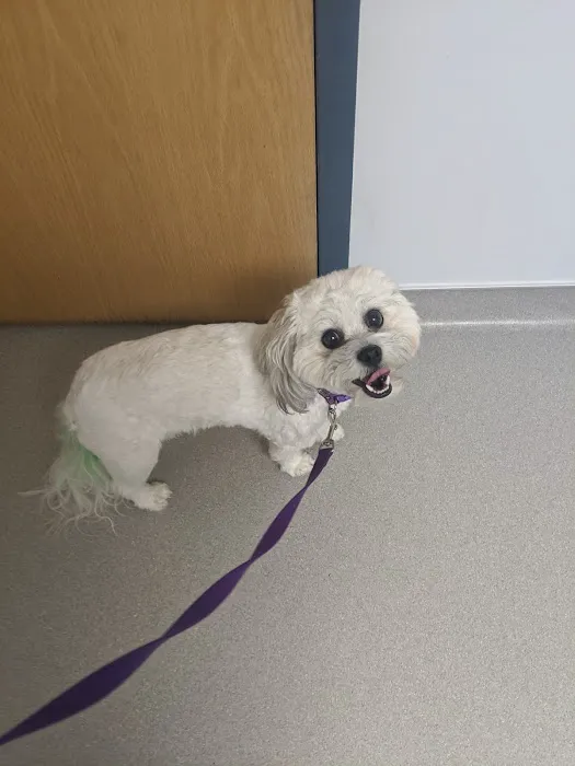 Limestone Companion Animal Hospital 2