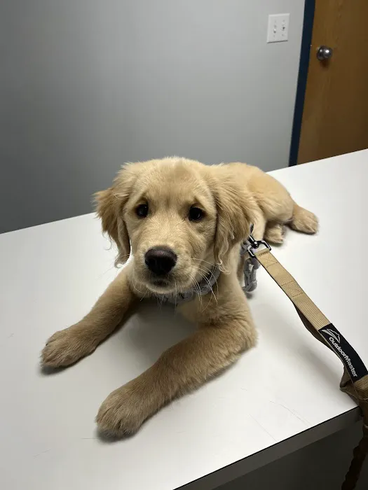Limestone Companion Animal Hospital 4