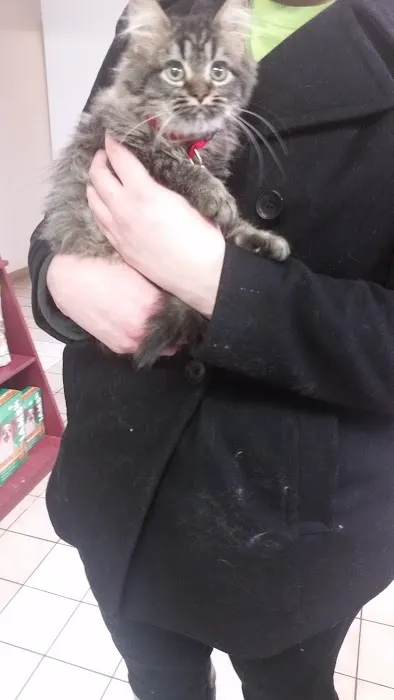 Central Animal Hospital 12