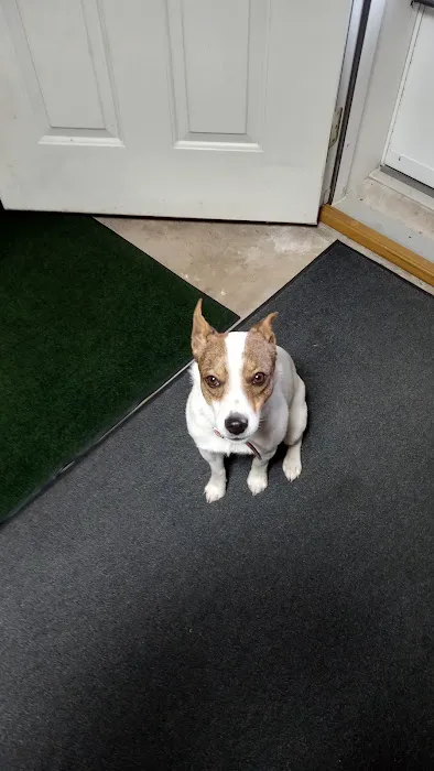 Teasdale Veterinary Clinic 5