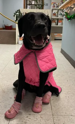 Teasdale Veterinary Clinic 1