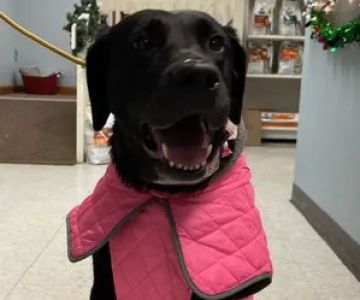 Teasdale Veterinary Clinic