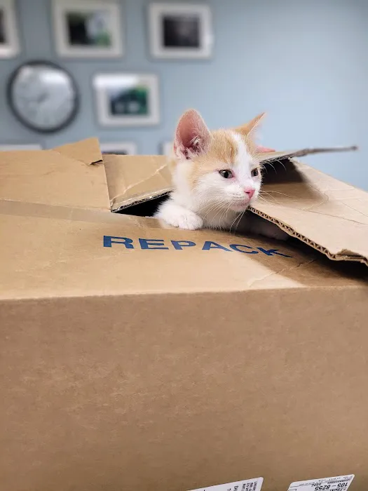 Teasdale Veterinary Clinic 10