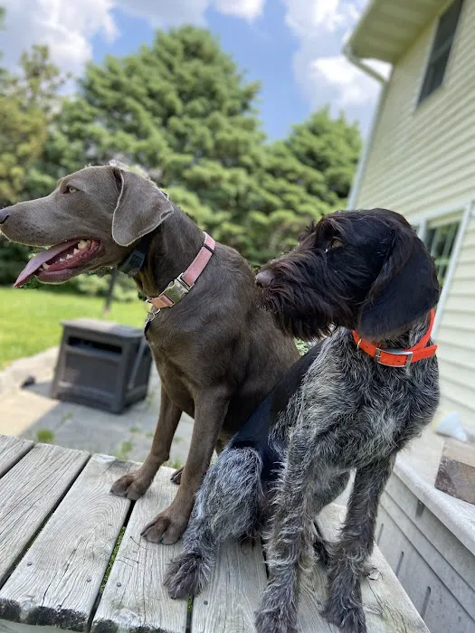 Guttenberg Veterinary Clinic 1