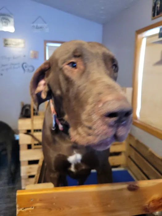Bangor Veterinary Associates LLC 12