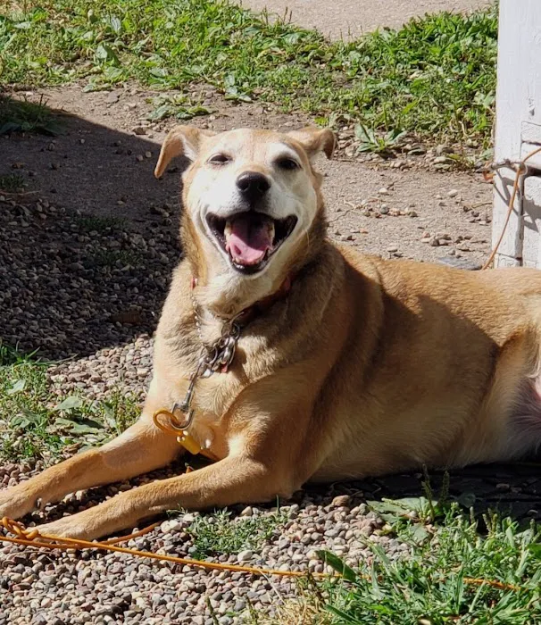 West Salem Veterinary Clinic 12