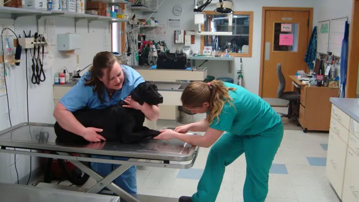 VCA Sand Lake Animal Hospital 8