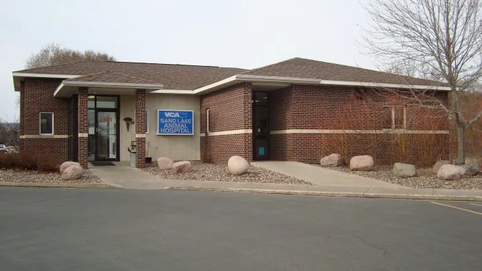 VCA Sand Lake Animal Hospital 5