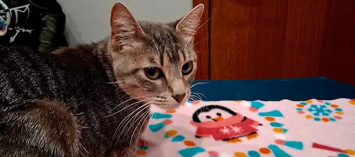 La Crosse Veterinary Clinic 12