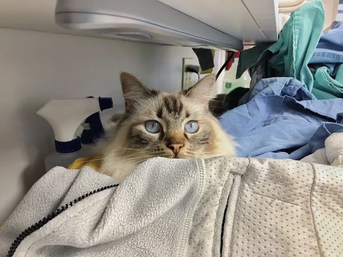 La Crosse Veterinary Clinic 12