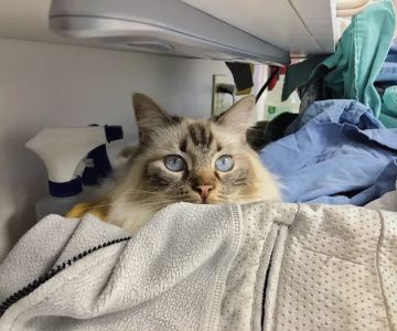 La Crosse Veterinary Clinic