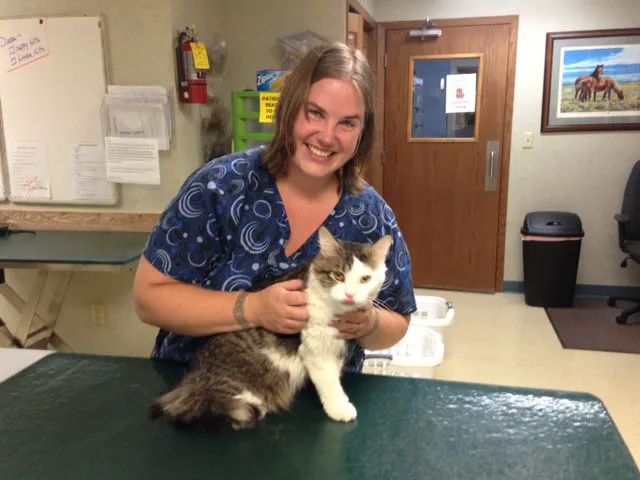 La Crosse Veterinary Clinic 12