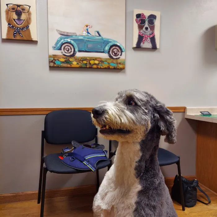 Wolf River Veterinary Clinic 7