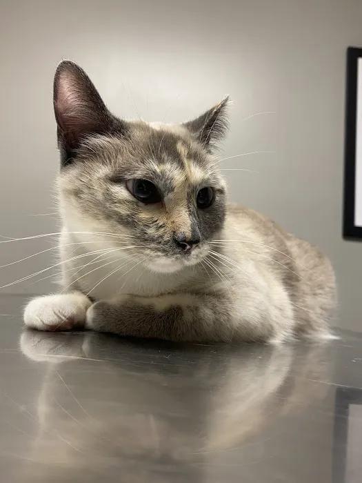 Wolf River Veterinary Clinic 5