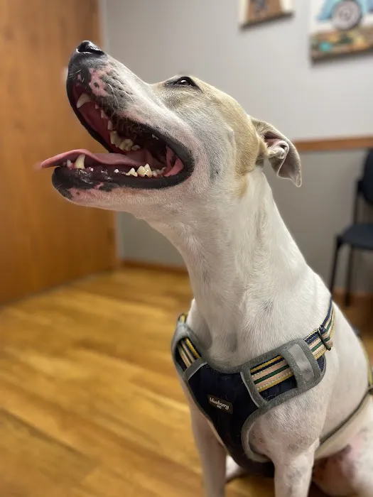 Wolf River Veterinary Clinic 3