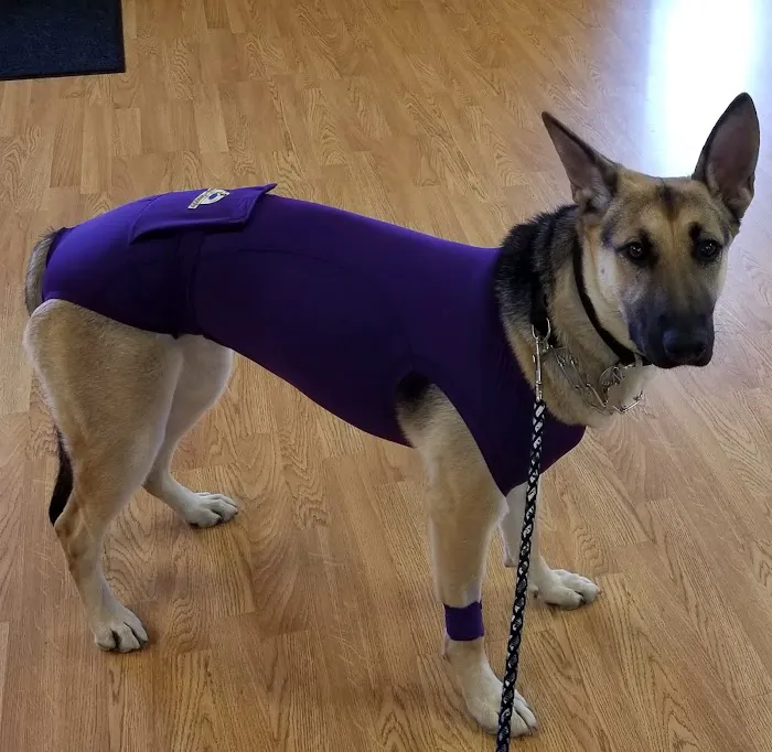Wolf River Veterinary Clinic 9