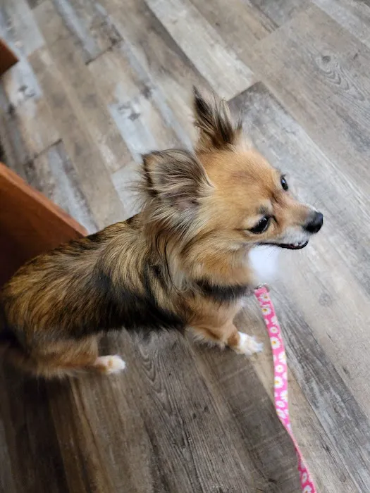 Walker Family Veterinary Hospital 1