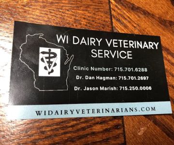 Wisconsin Dairy Veterinary Service