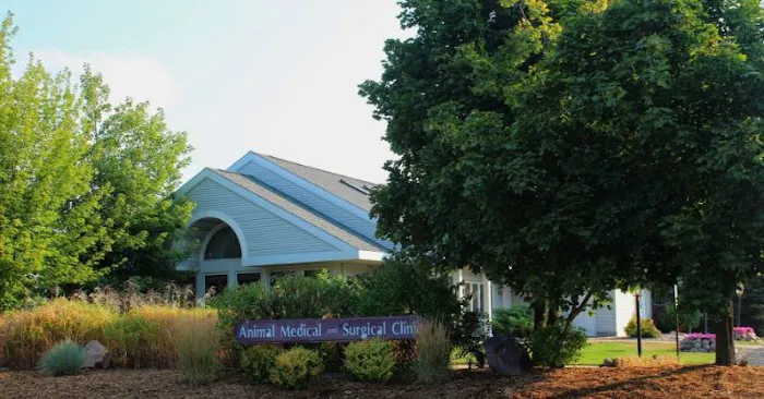 Animal Medical And Surgical Clinic 7