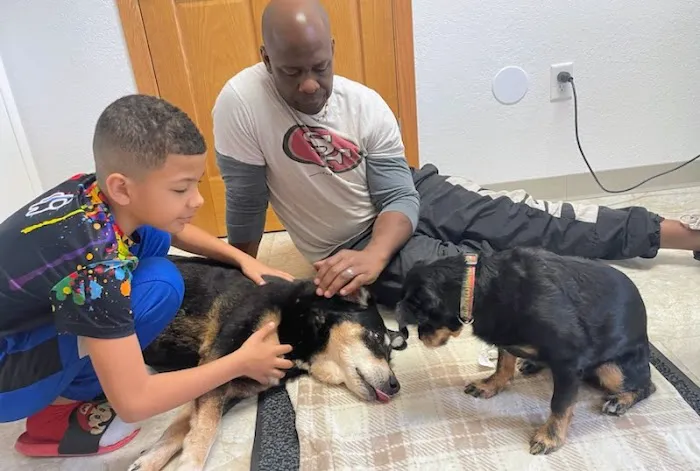 Animal Medical And Surgical Clinic 5