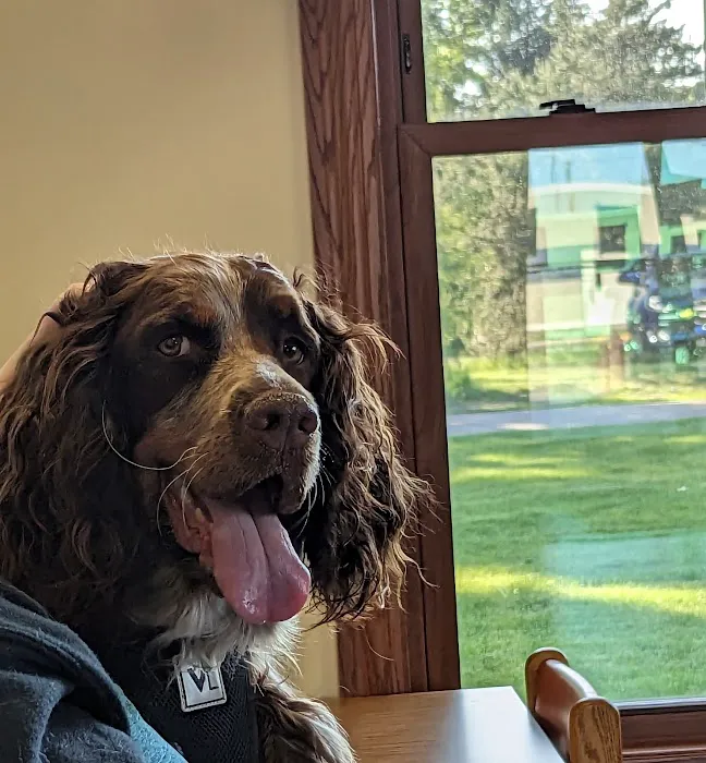 Progressive Veterinary Services, LLC 7