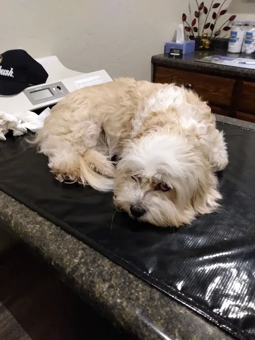 Progressive Veterinary Services, LLC 2