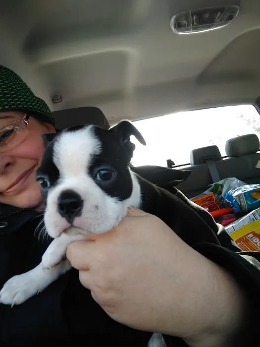 All Care Animal Hospital 5