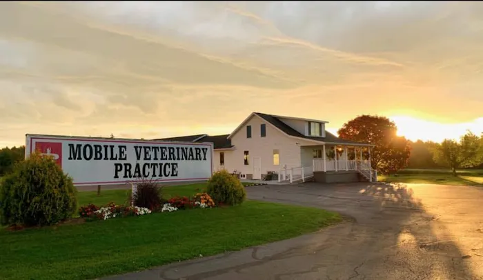 Mobile Veterinary Practice 10